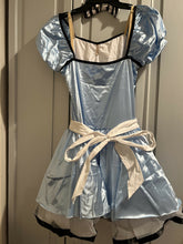 Load image into Gallery viewer, Alice Costume