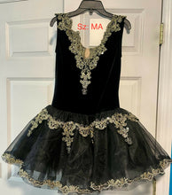 Load image into Gallery viewer, IMG_3753