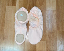 Load image into Gallery viewer, Stret h canvas ballet