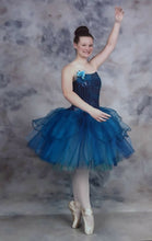 Load image into Gallery viewer, Fzpw602j9j