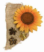 Load image into Gallery viewer, Sunflower Meadow Brown Mesh Costume