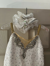 Load image into Gallery viewer, ZPALhv1Mh1