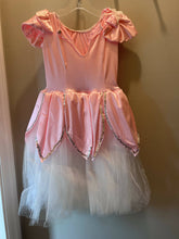Load image into Gallery viewer, Child's Costume
