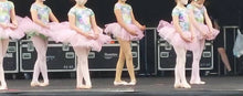 Load image into Gallery viewer, Floral/Pink Ballet Tutu