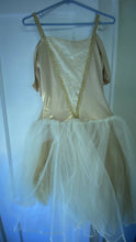 Load image into Gallery viewer, Adult ballet costume