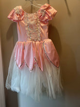 Load image into Gallery viewer, Child's Costume