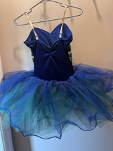 Load image into Gallery viewer, Ballet Costume