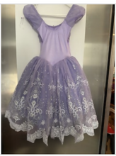 Load image into Gallery viewer, 15203 Purple Tutu
