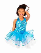 Load image into Gallery viewer, GRA148C Ballet Dress NWT
