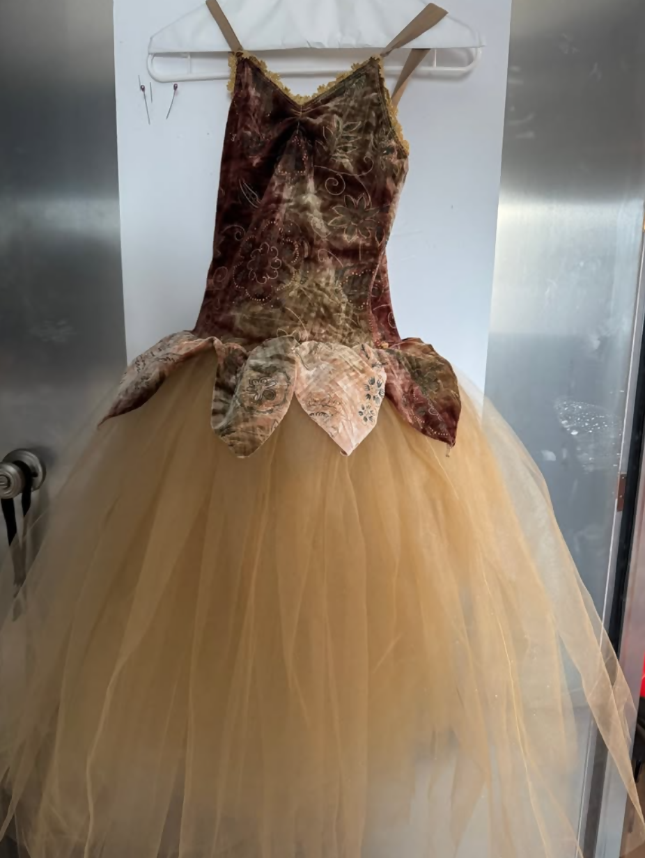 #0187 Revolution Gold Multi Tutu #0187 Revolution Gold Multi Tutu