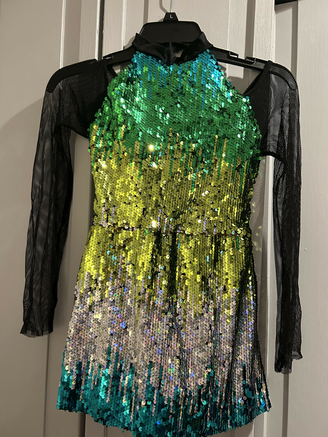 Sequin Ombre Costume