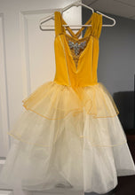 Load image into Gallery viewer, Weissman Ballet Costume
