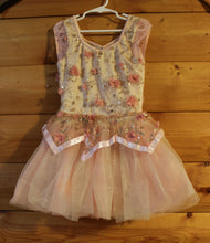 Load image into Gallery viewer, Toddlers dance dress
