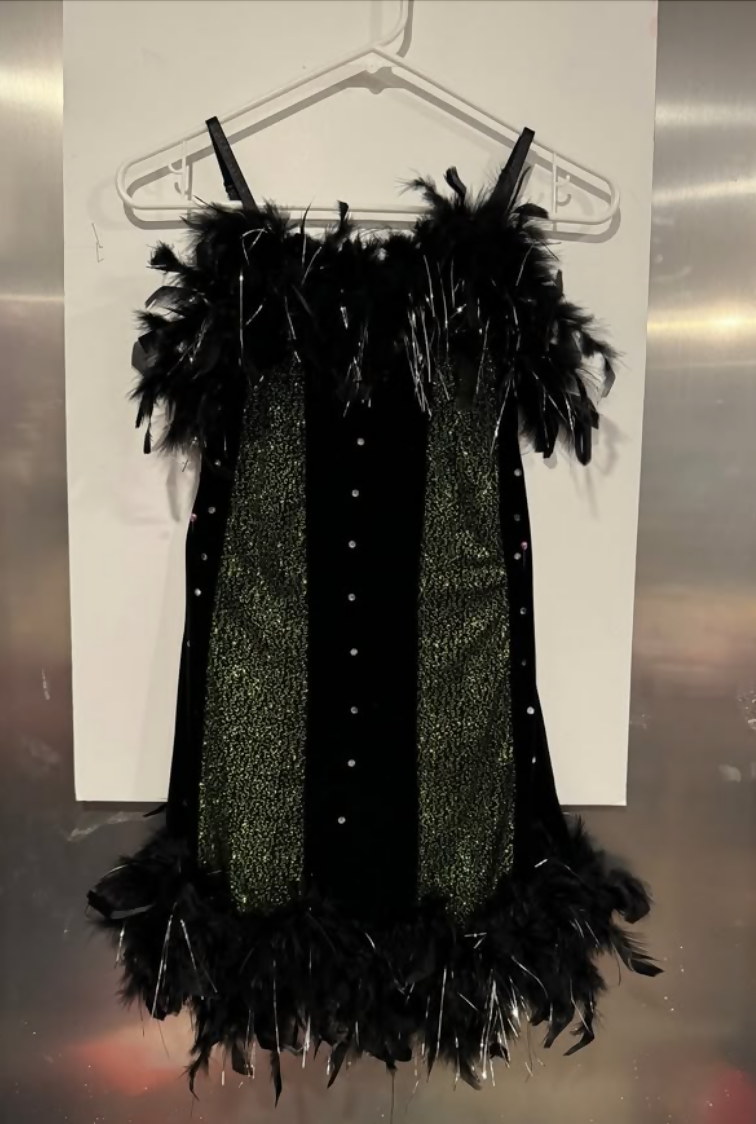 Dansco Costume - Black/Green Dress with Feathers - Small Adult