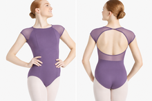 Load image into Gallery viewer, SE1076W Raglan Sleeve High Neck Leotard
