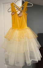 Load image into Gallery viewer, Weissman Ballet Costume
