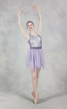Load image into Gallery viewer, Ballet costume
