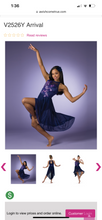 Load image into Gallery viewer, A Wish Come True. Lyrical Dance Costume. “Arrival.” V2526Y. Size: Large Child
