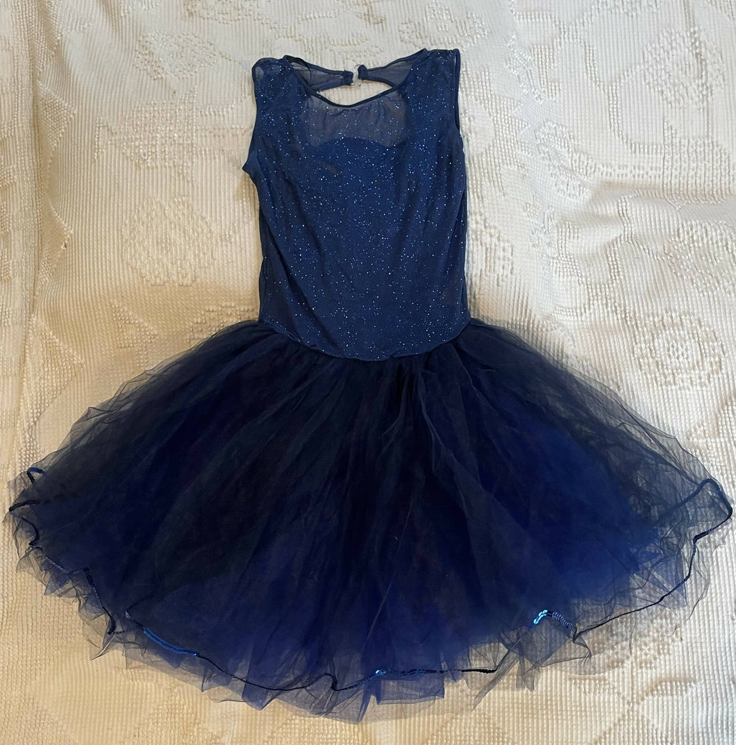 Royal Blue Tutu with sparkly top Royal Blue Tutu with sparkly top