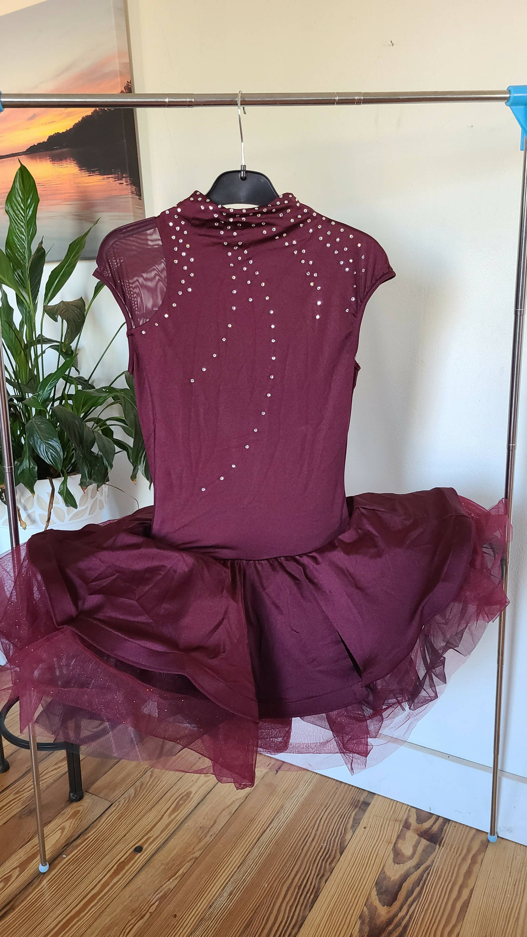 Burgundy ballet costume