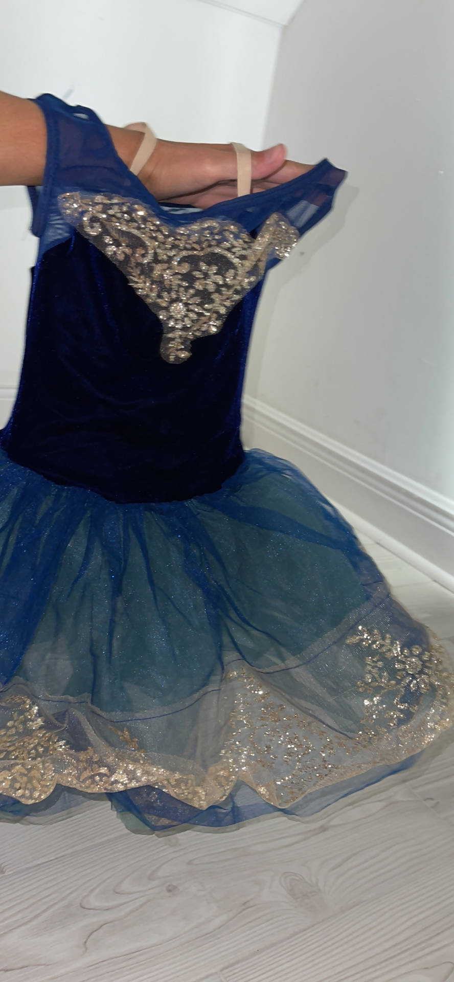 Blue velvet ballet costume