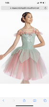 Load image into Gallery viewer, Weissman Ballet Dance Costume. “Moon Fairies.” 13511. Size: Large Child
